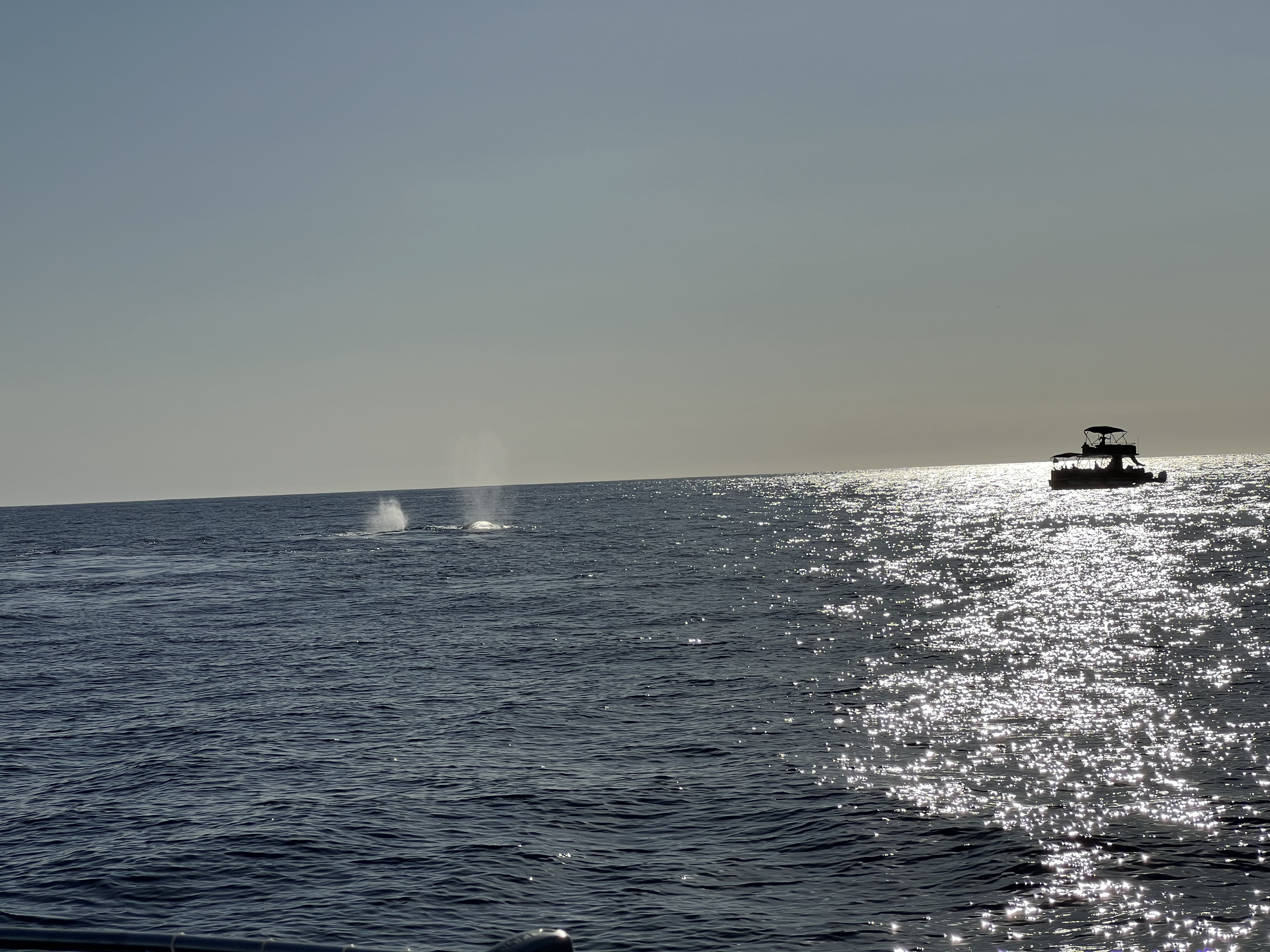 ./2024/13 - Cabo/IMG_4691.jpg